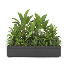 Lush tropical foliage arrangement in a sleek planter box against an isolated space