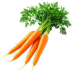 Carrots: Fresh, vibrant carrots, showcasing their rich orange color and lush green tops, perfectly presented.