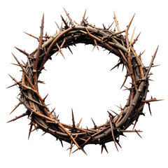 Crown of Thorns: The image is a striking depiction of a crown of thorns, a powerful symbol of sacrifice, faith, and spirituality.
