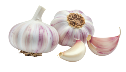 Three cloves of garlic with purple stripes, white background