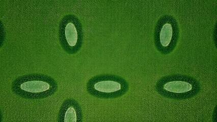 indentations. Aerial view of repeating elliptical indentations pattern on lush green grass. event key visuals, club posters, designed for fitness apps and gym onboarding, drives event promotion.