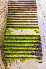 Fototapeta premium Stair on an old pier with green seaweed