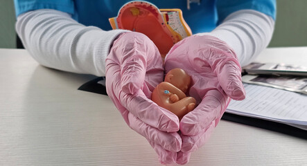 A doctor carefully holds a model of a newborn baby, demonstrating methods of caring for the baby. Insurance and preservation of pregnancy and birth concept
