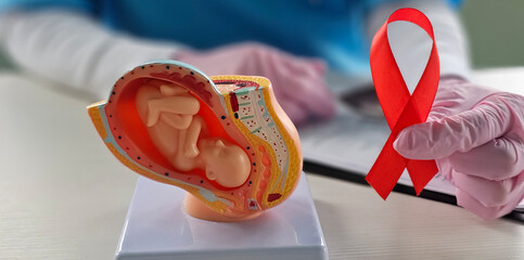 Planning pregnancy with HIV. Uterus, embryo and red ribbon. HIV infection and motherhood