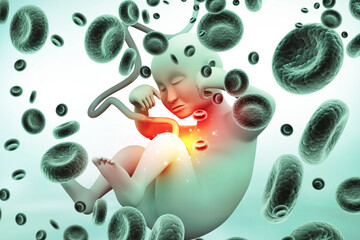 An anatomical illustration showing the fetus surrounded by blood cells, emphasizing the vital connection via the umbilical cord and placenta.3d illustration