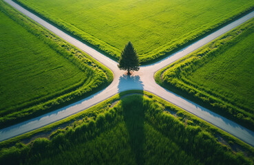 High angle drone view of empty crossroads in rich green field. Roads meet around single evergreen tree. Four distinct paths symbolize choice, decision making, future journey, different directions in