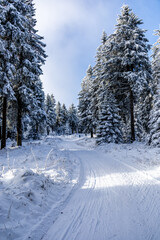 Obraz premium Winterwunderland im Thüringer Wald im Wintersportort Oberhof am Rennsteig - Thüringen - Deutschland