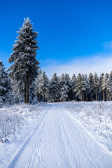 Winterwunderland im Thüringer Wald im Wintersportort Oberhof am Rennsteig - Thüringen - Deutschland