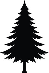 Obraz premium Evergreen tree black silhouette on white background