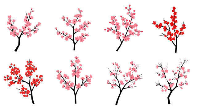 Elegant Set of Blossoming Cherry Tree Branches with Delicate Pink and Red Flowers Beautiful Design