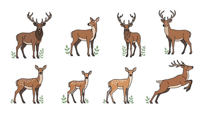 Illustrative group of deer in different poses perfect for wildlife and nature themes