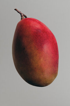 Close up of vibrant, ripe red mango floating against gray background
