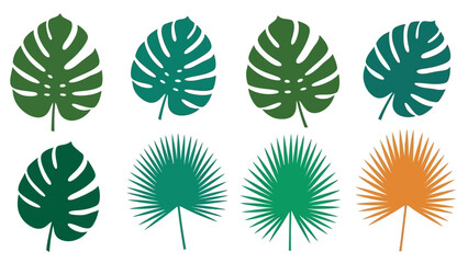 Tropical foliage vector illustration featuring monstera and fan palm leaves in various green and