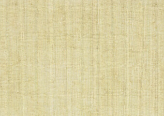 Fabric-Like Paper Background