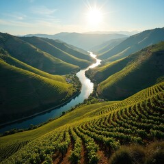 Obraz premium Hilly landscape with vineyards under sky. River flows between fields of grapes. Agriculture plantation on mountains. Valley with typical farm. Scenery of Douro region in Portugal shows rural beauty.