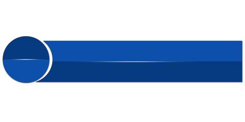 Elegant Bold Lower Third Label Design