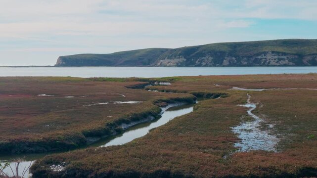 Winding Tidal Creeks in a Point Reyes Estuary on a Sunny Day