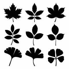 Obraz premium A clean, minimalist, graphic design illustration featuring a grid of nine distinct, solid black leaf silhouettes against a pure white background. 