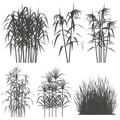 A collection of six distinct silhouettes of tall, grassy plants, arranged in two rows of three. The top row features three different compositions of slender.
