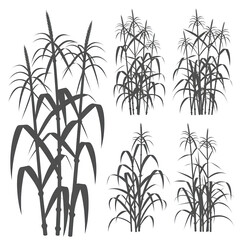 A set of six stylized, silhouette illustrations of various flowers, arranged in two rows of three. Each illustration depicts a single stem with detailed leaves .