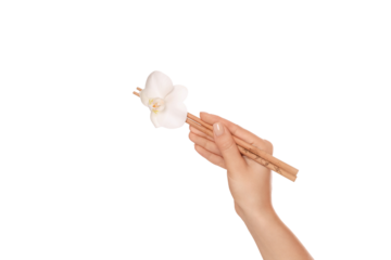 Hand grips chopsticks with white orchid, isolated on white, PNG