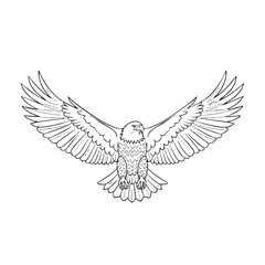 Obraz premium A detailed line drawing of an eagle with outstretched wings against a plain white background.