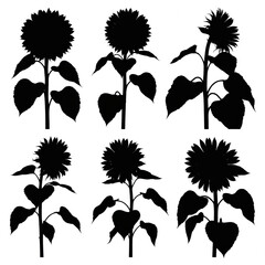 A graphic illustration depicting six silhouettes of sunflowers arranged in two rows of three. Each sunflower is rendered in stark black against a pure white background.