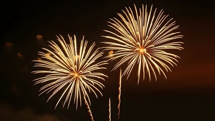 Two golden fireworks exploding in the night sky celebration