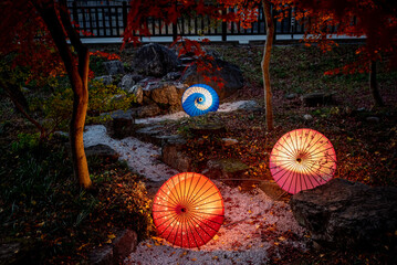 雀宮公園のライトアップされた和傘