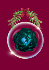 Xmas Turquoise Rose on velvet background