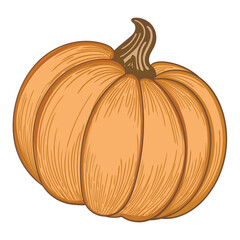 Hand-drawn, classic orange pumpkin illustration, ideal for Halloween, fall festival, harvest, and Thanksgiving themes, representing seasonal food and autumn decoration.