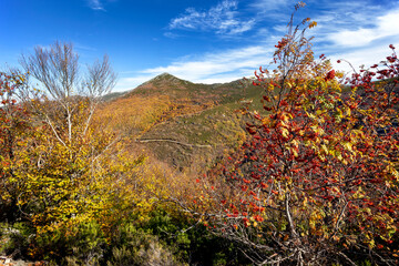 Altos del Parrej&oacute;n en oto&ntilde;o