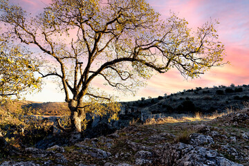 Oto&ntilde;o en el Ca&ntilde;&oacute;n del rio Dulce