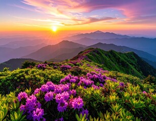 Mountain peak blooms, golden sunset over distant peaks