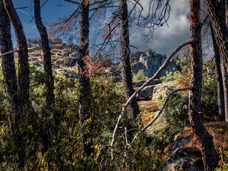 La Pe&ntilde;a MU&ntilde;ana tras los pinos