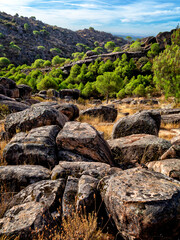 Granito y pinos en el cerro Alcornocoso