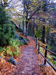 Senda de la Laguna Negra
