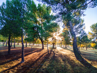 Oto&ntilde;o en el parque