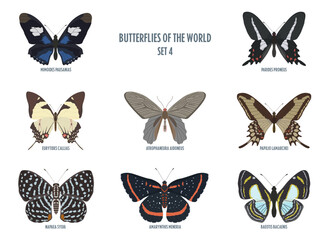 Butterflies of the world -4.eps