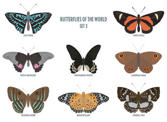 Butterflies of the world -3.eps