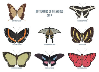 Butterflies of the world -9.eps