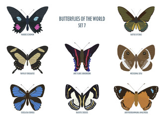 Butterflies of the world -7.eps