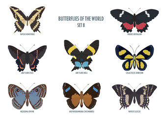 Butterflies of the world -8.eps