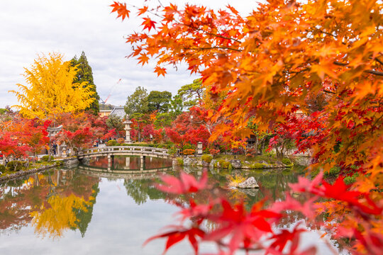View Through a Frame of Blurred Crimson Maple Leaves to a Stone Bridge and Lantern Over a Pond at Eikando, Kyoto