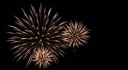 Obraz premium Golden Fireworks Bursting in the Night Sky Keywords: fireworks, celebration, night, sky