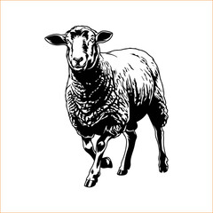 Black and white illustration of a sheep walking forward on a light background VECTOR