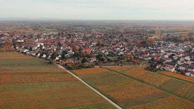 Aerial View of Deidesheim Town Surrounded by Colorful Autumn Vineyards in Germany