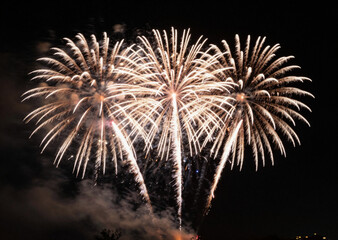 fireworks in the night sky