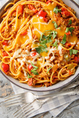 creamy taco pasta with beef, taco seasoning, tomatoes with green chiles and lots of cheese closeup on the plate on the table. Vertical top view from above
