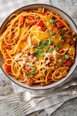 Fusion taco spaghetti with ground beef, green chili, onion, cheese, tomatoes, taco seasoning close-up in a plate on the table. Vertical top view from above